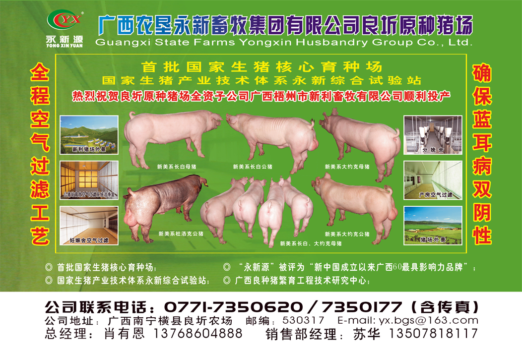 广西农垦良圻种猪